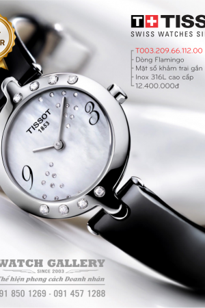 Đồng hồ Tissot T003.209.66.112.00